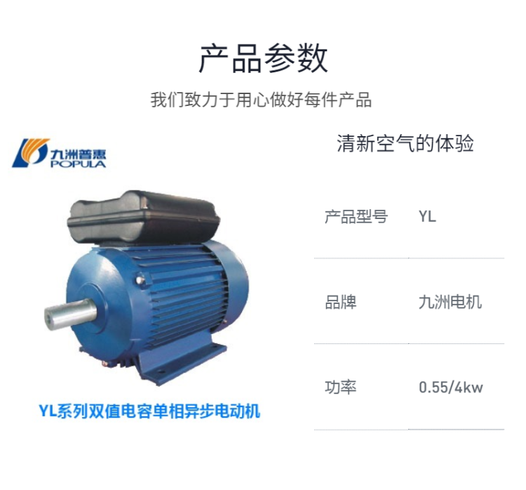 YL系列雙值電容單相異步電動(dòng)機(jī)